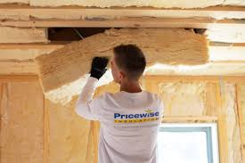 Best Basement Insulation  in Danbury, TX